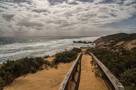 A coastal walking track